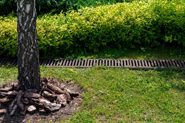 Cost of Wet Yard Drainage in Akron