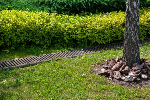 Cost of Residential Landscape Drainage in Akron