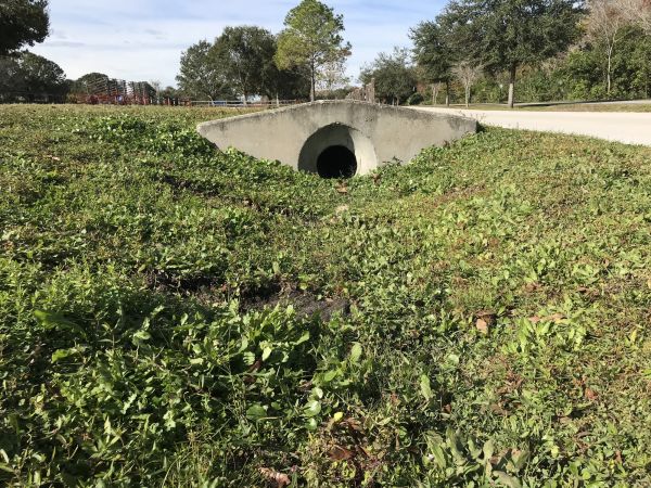 Cost of Swale Drainage Service in Akron